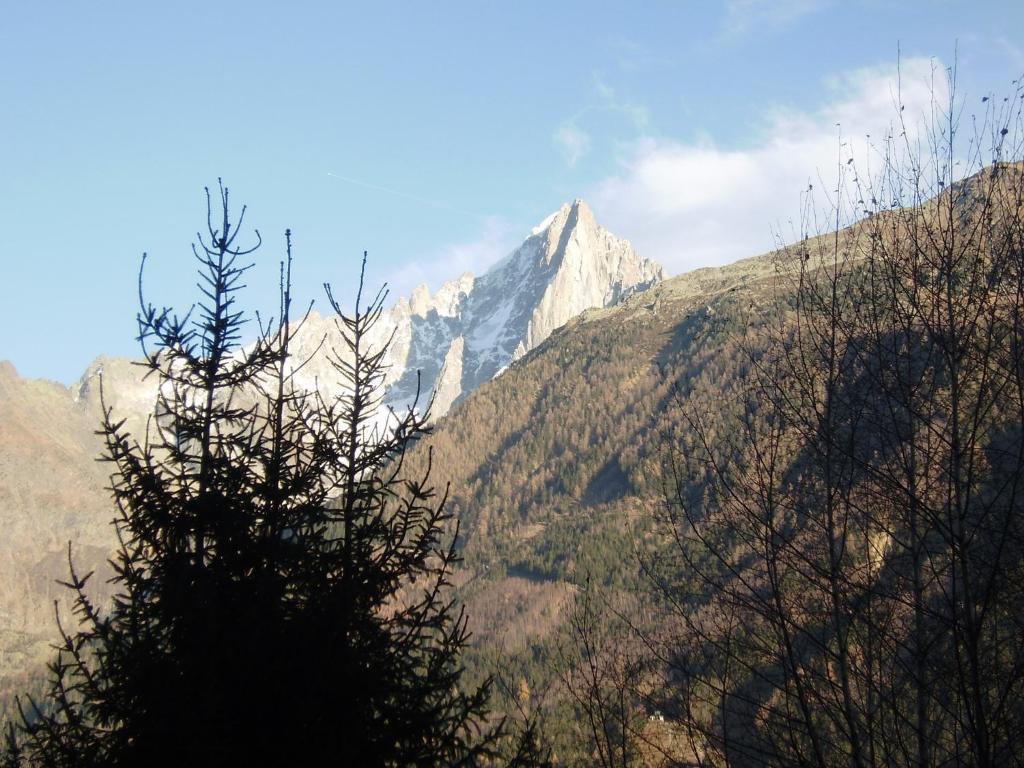Studio Les Drus / Studio Du Brevent 霞慕尼 客房 照片