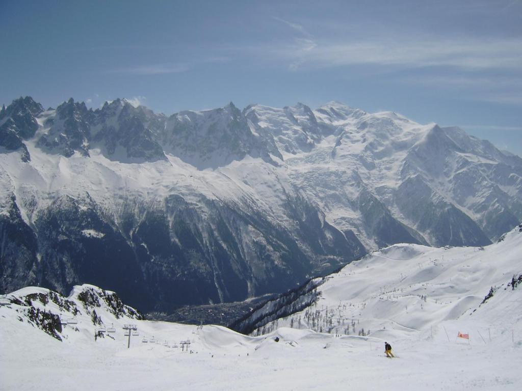 Studio Les Drus / Studio Du Brevent 霞慕尼 外观 照片