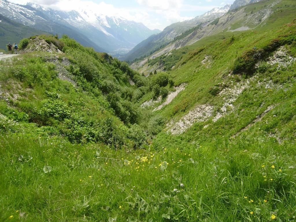 Studio Les Drus / Studio Du Brevent 霞慕尼 外观 照片